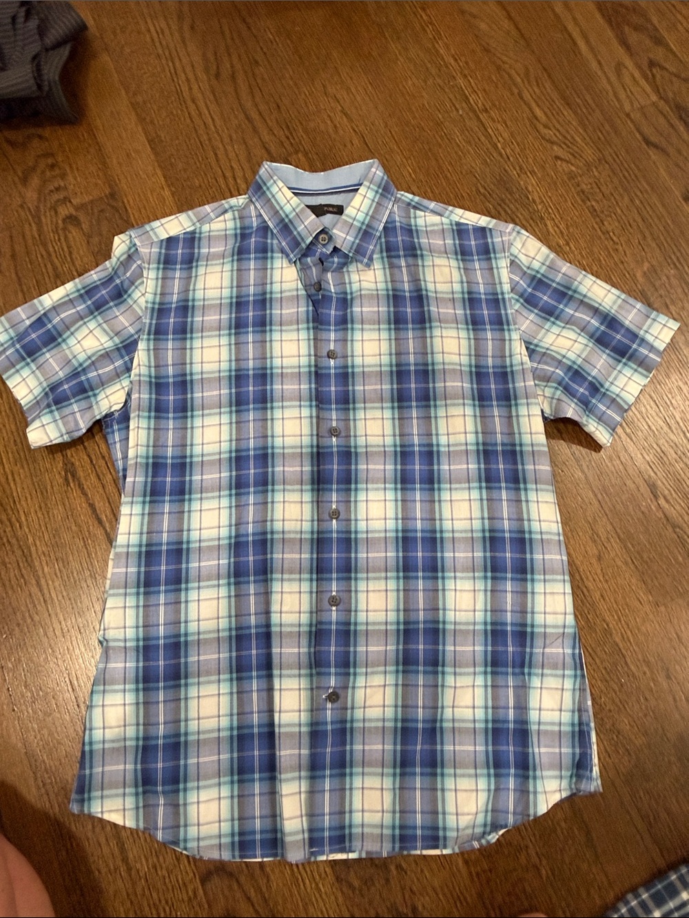 Banana Republic Blue and White Plaid Short-Sleeve Button-Down Shirt